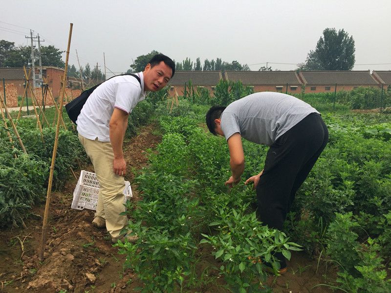 好利來(lái)郭總喊您來(lái)摘菜啦！綠色無(wú)公害，放心！